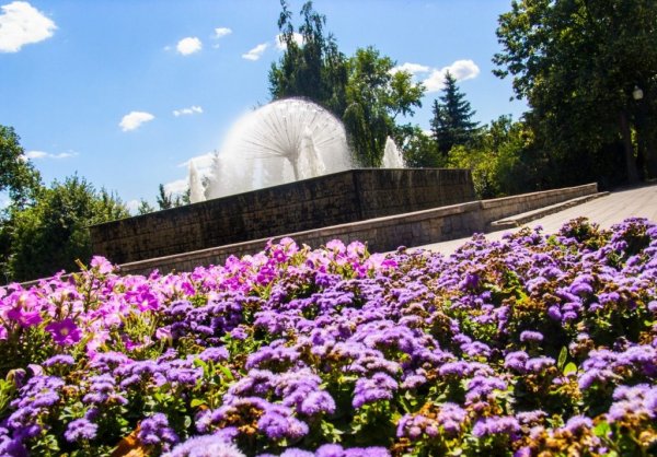 Верхний парк город Липецк