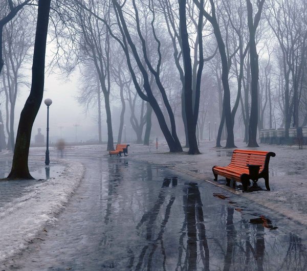 Холодная дождливая осень