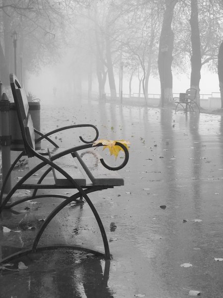 Дождь серость