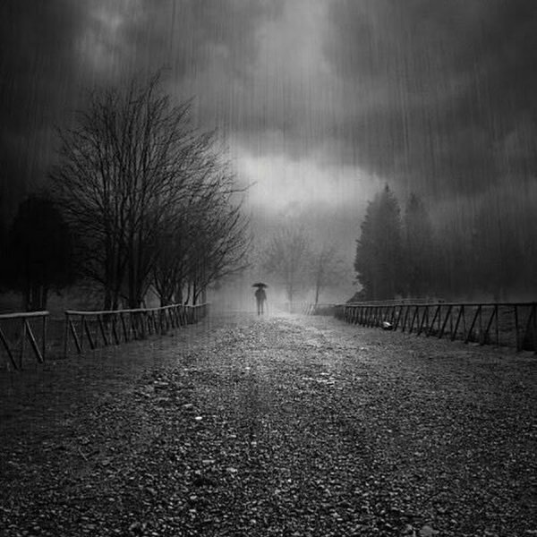 Дождь серость