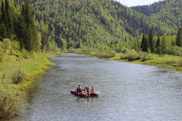 Заповедник в горной Шории
