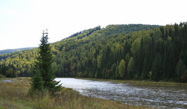 Шорский национальный парк Кемеровская область