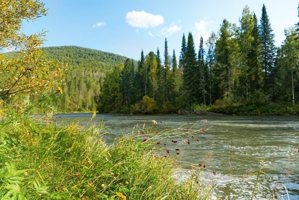 Заповедники Кузбасса Шорский национальный парк