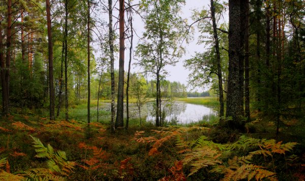 Заповедник Валдайский национальный парк