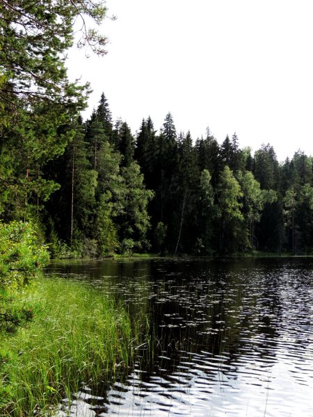 Заповедник Валдайский национальный парк