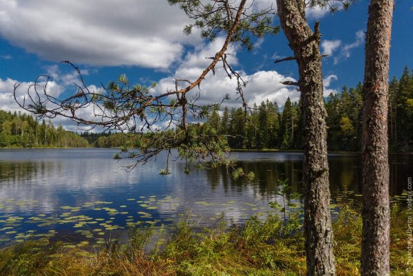 Валдайский национальный парк