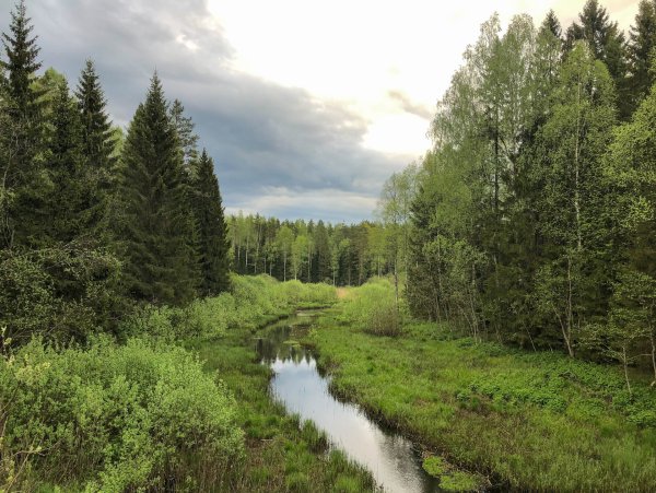 Валдайский нац парк