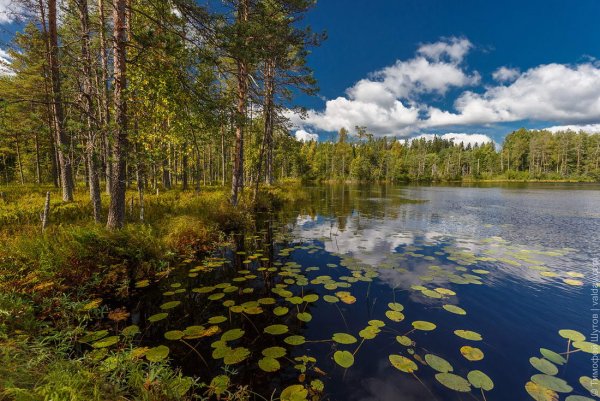 Валдайский национальный парк (Валдай)