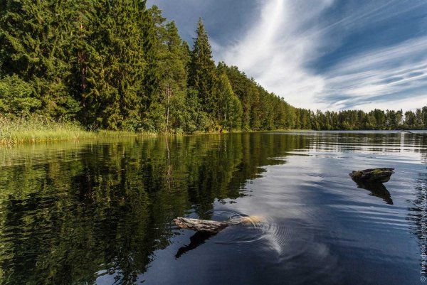 Валдайский национальный парк реки
