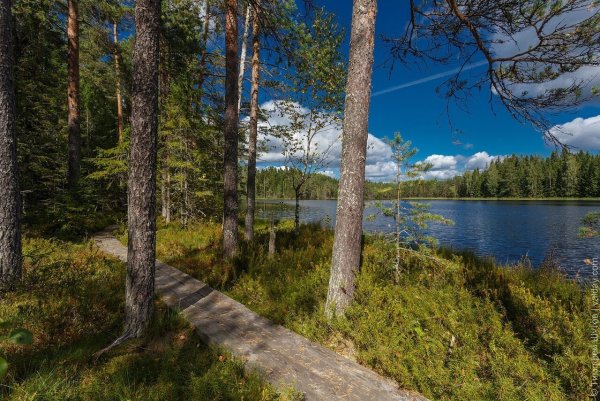 Тропа Валдай большая Валдайская
