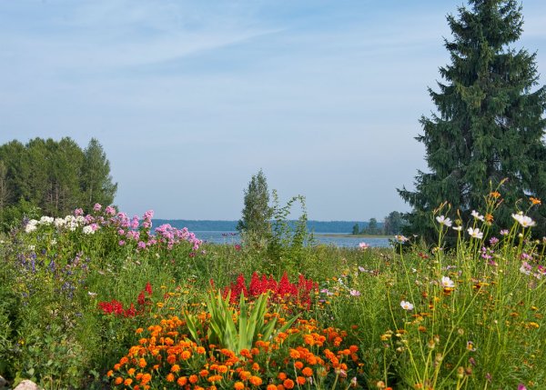 Валдай парк природы