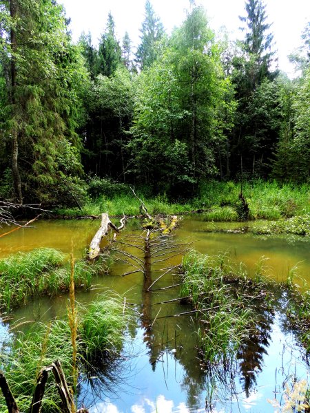 Национальный парк Валдай