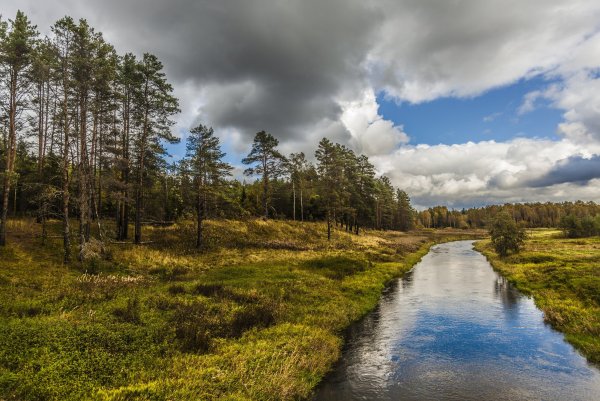 Валдайский национальный парк Новгородская область