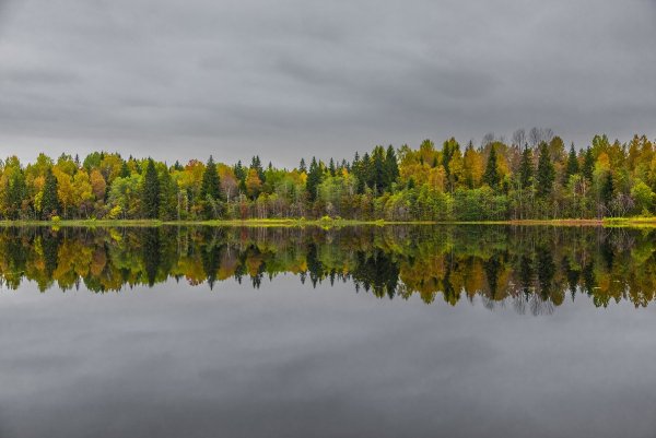 Валдайский заповедник