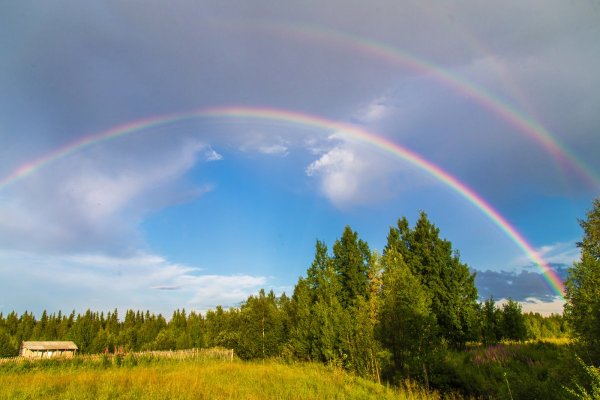 Радуга после дождя в лесу