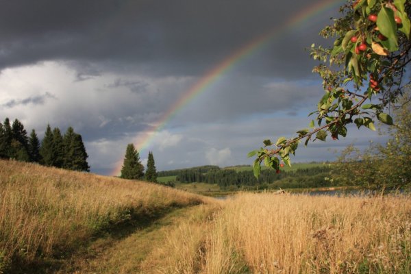 Конец радуг