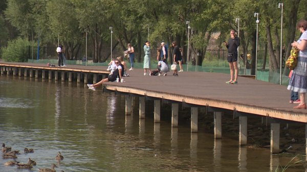 Парк Дельфин Воронеж 2021