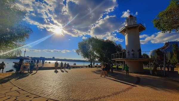 Дельфин Воронеж дамба