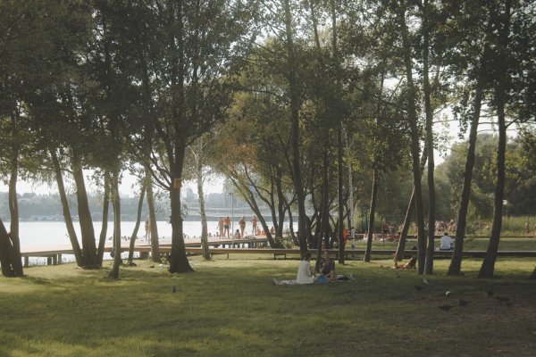 Парк Дельфин Воронеж