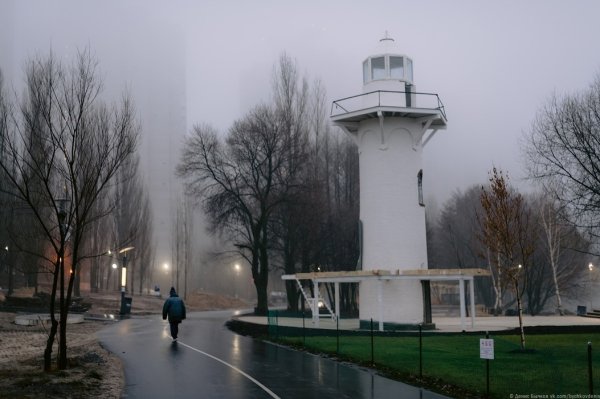 Дельфин парк Воронеж дом