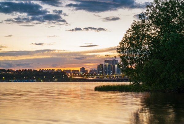 Парк Дельфин Воронеж фото