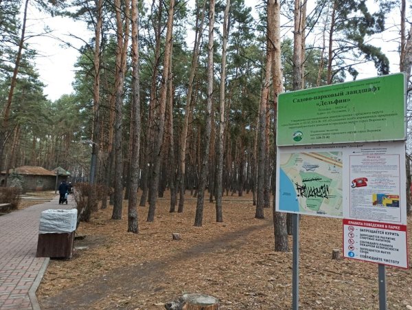 Парк Дельфин Воронеж