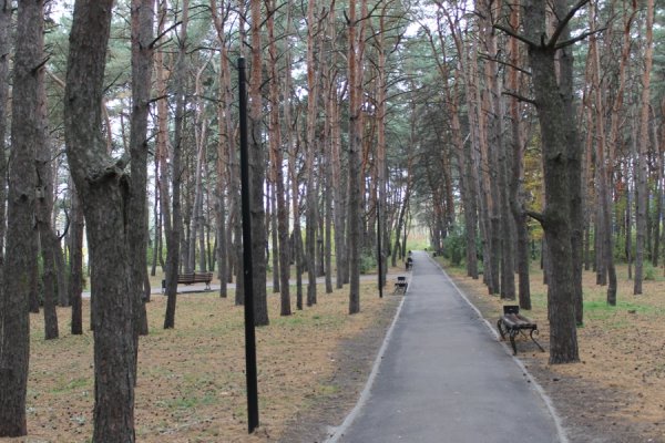 Воронежском парке «Дельфин»