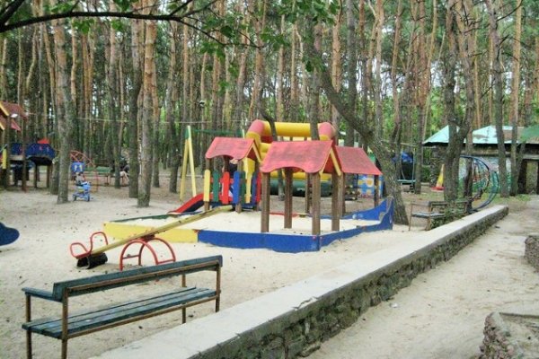 Парке Дельфин Воронеж