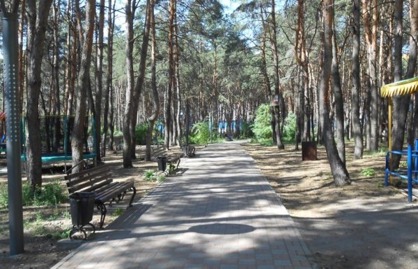 Парк Дельфин Воронеж