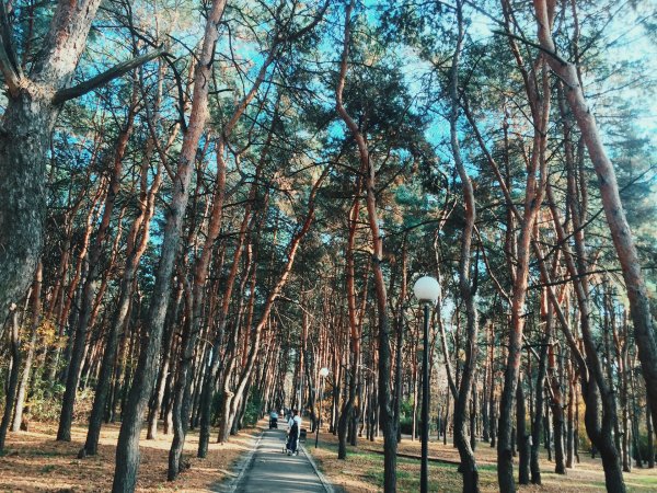 Россия, Воронеж, парк Дельфин