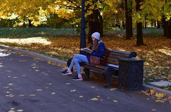 Люди на лавочке в парке