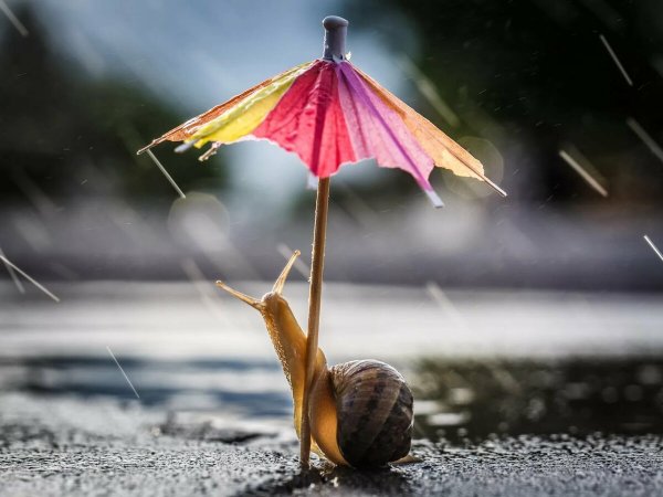 Дождик летом