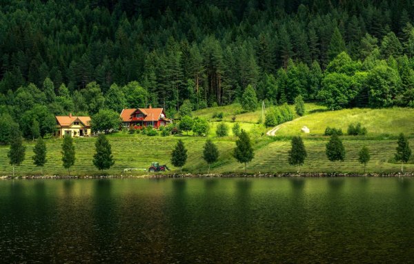 Фахверк Швейцария горы озеро лес