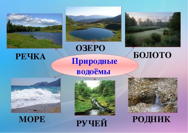 Виды водоемов