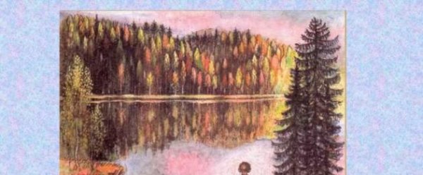 Тайга Васюткино озеро