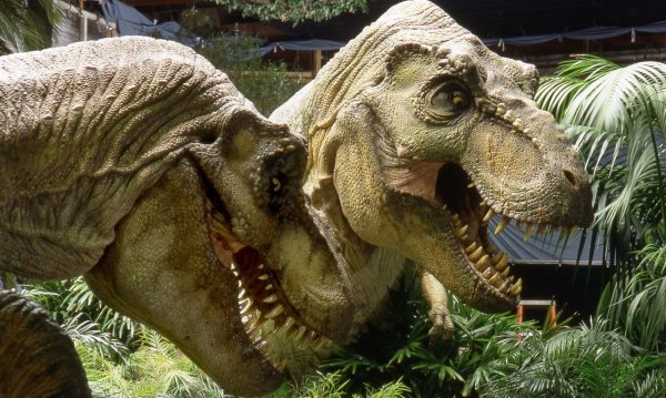 T Rex парк Юрского периода