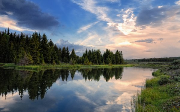 Заказник белая Кедва