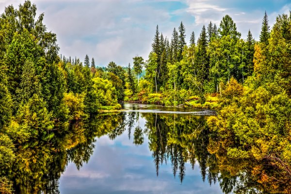 Река Волга в тайге