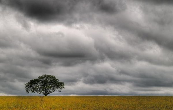 Пасмурно для детей
