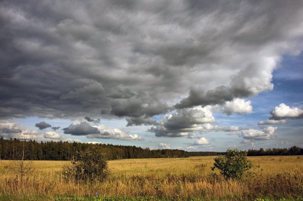 Пасмурное небо осень