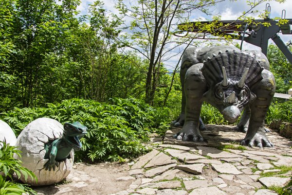 Сафари-парк Геленджик