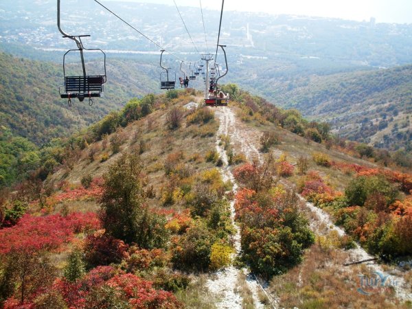 Safari парк Геленджик