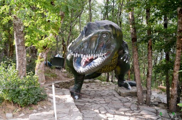 Геленджик сафари парк парк Юрского периода