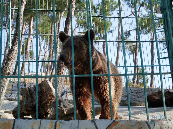 Сафари-парк Геленджик