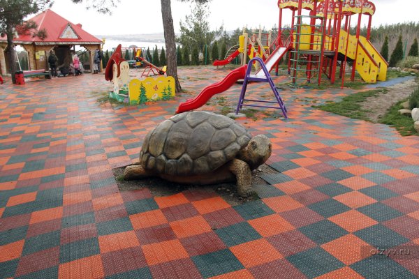 Город Геленджик сафари парк