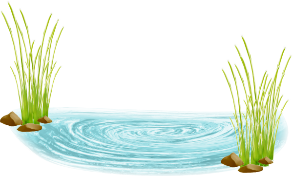 Водоем на белом фоне