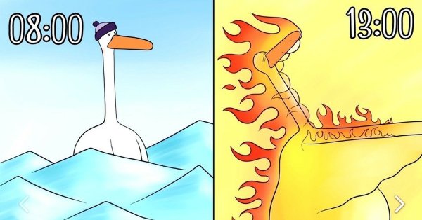 Коротко про погоду гуси