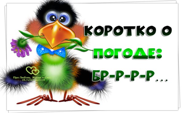 — Коротко о погоде: брррр!