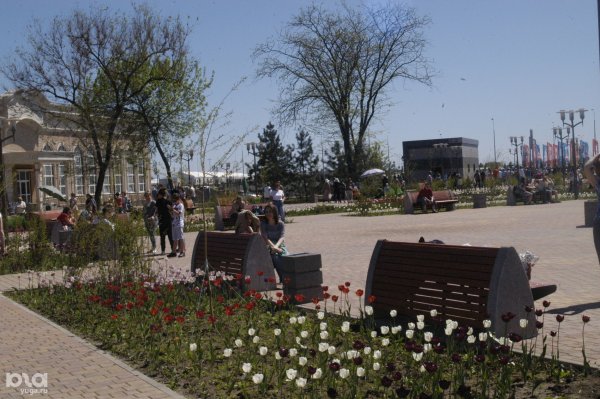 Парк культуры Левобережный Ростов