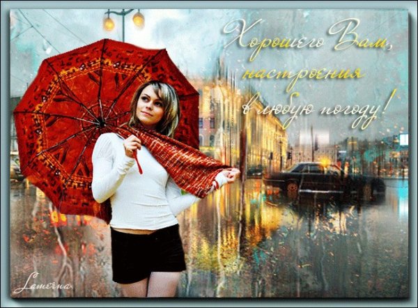 Счастья в дождливый день